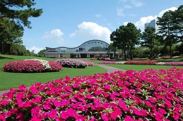 🌸 플로란테 미야자키 이미지 1